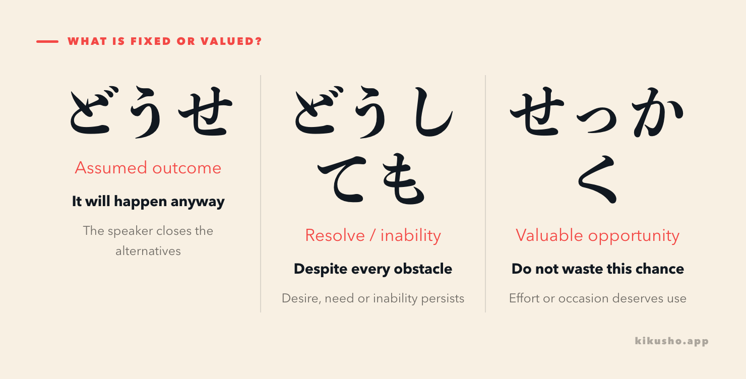 Three panels distinguish どうせ for an assumed outcome, どうしても for persistent resolve or inability, and せっかく for a valuable opportunity.