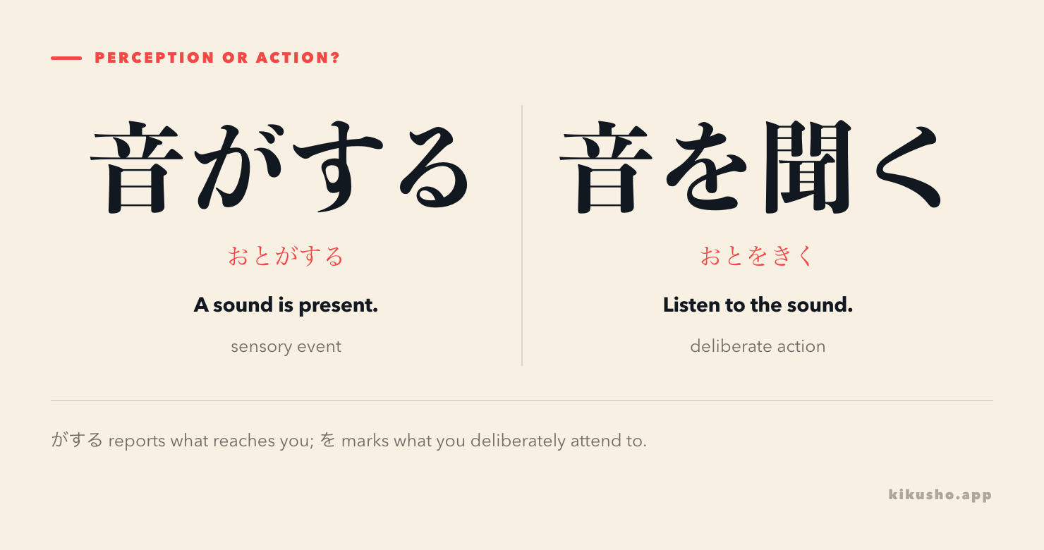 Two panels contrast 音がする, where a sound becomes perceptible, with 音を聞く, the deliberate act of listening.