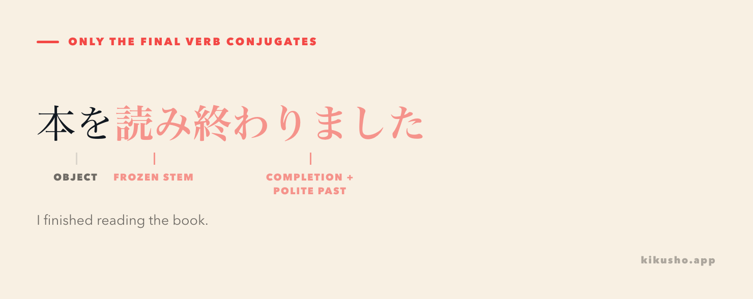 The sentence 本を読み終わりました is split into the object, the frozen stem 読み, and 終わりました, the final verb carrying completion, politeness and past tense.