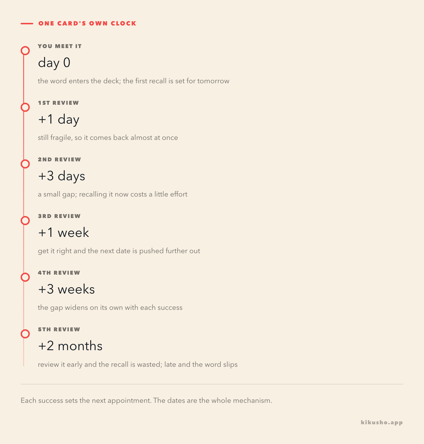 A rising ladder showing one card's review schedule, from the day you meet it to reviews at plus one day, plus three days, a week, three weeks and two months, each step wider than the last.