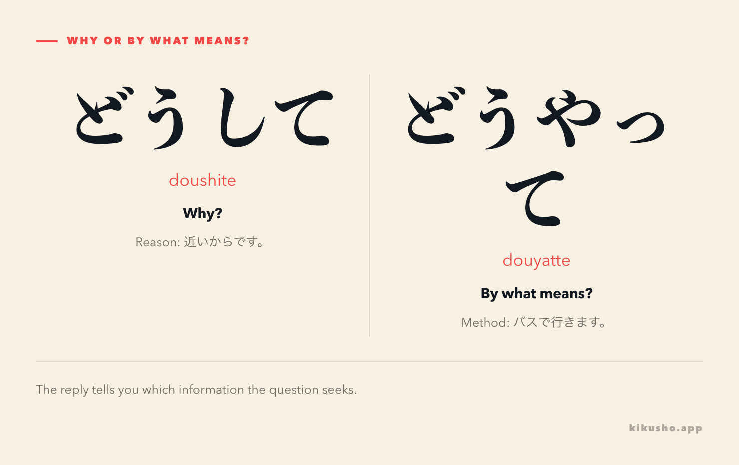 Two question words side by side: どうして asks why and gets 近いからです as a reason; どうやって asks by what means and gets バスで行きます as a method.