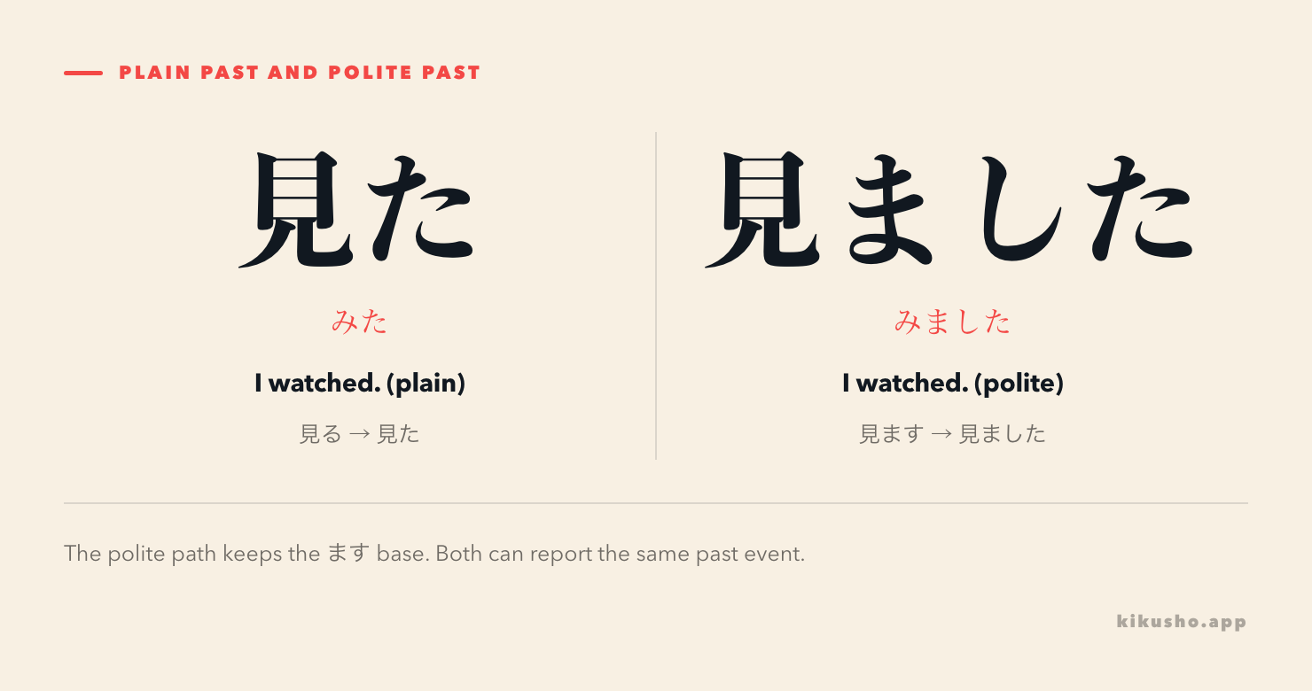Two panels contrast plain 見た（みた） with polite 見ました（みました）, both glossed as I watched.
