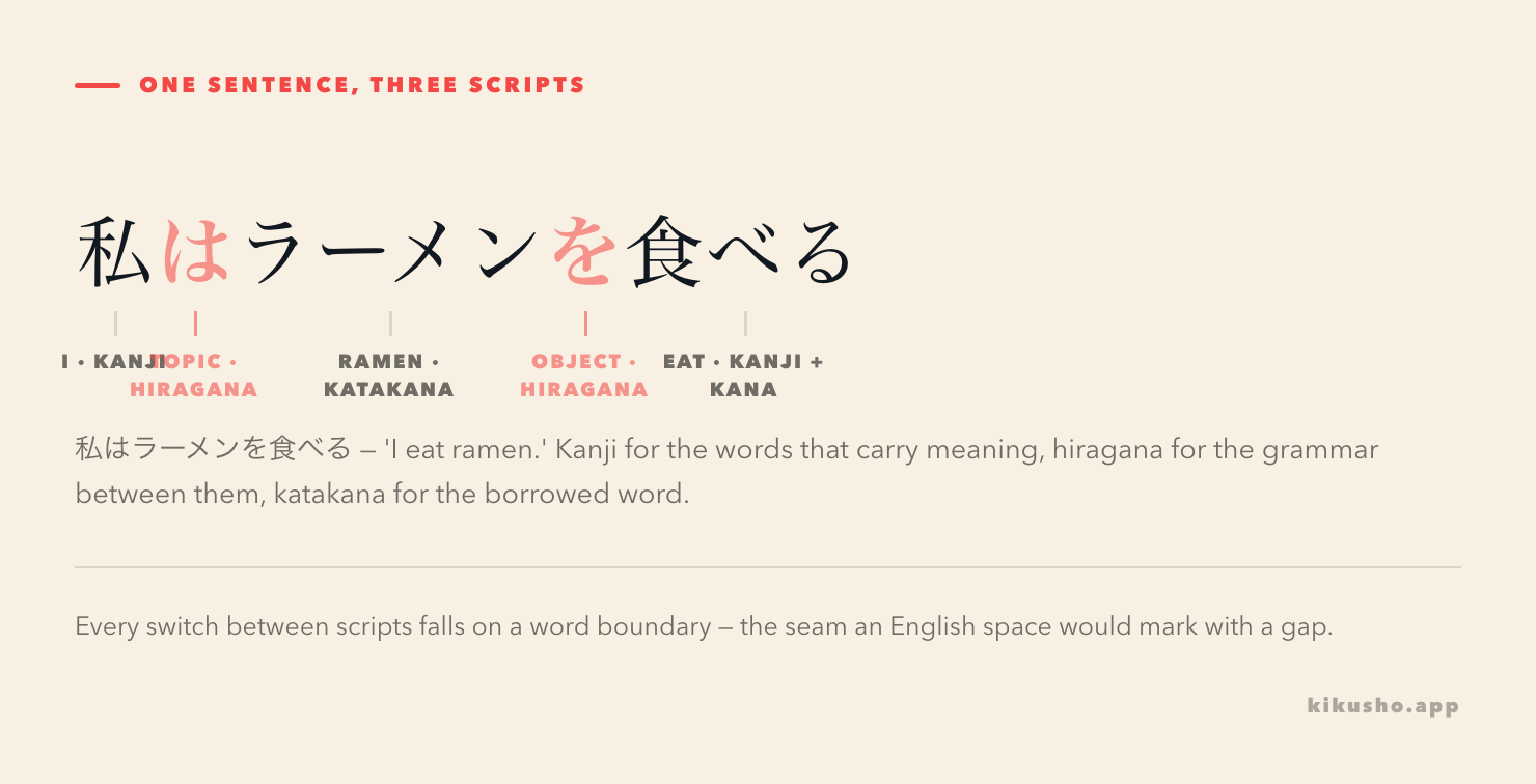 The sentence 私はラーメンを食べる with each part labelled by script: 私 a kanji noun, は a hiragana particle, ラーメン a katakana loanword, を a hiragana particle, and 食べる a kanji stem with a hiragana tail.