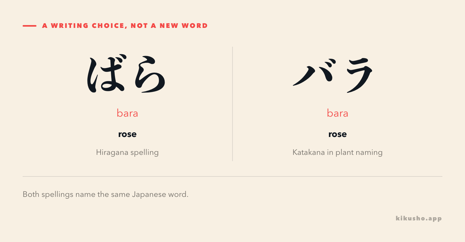 Two panels show ばら and バラ, both read bara and meaning rose, with plant naming noted for the katakana form.