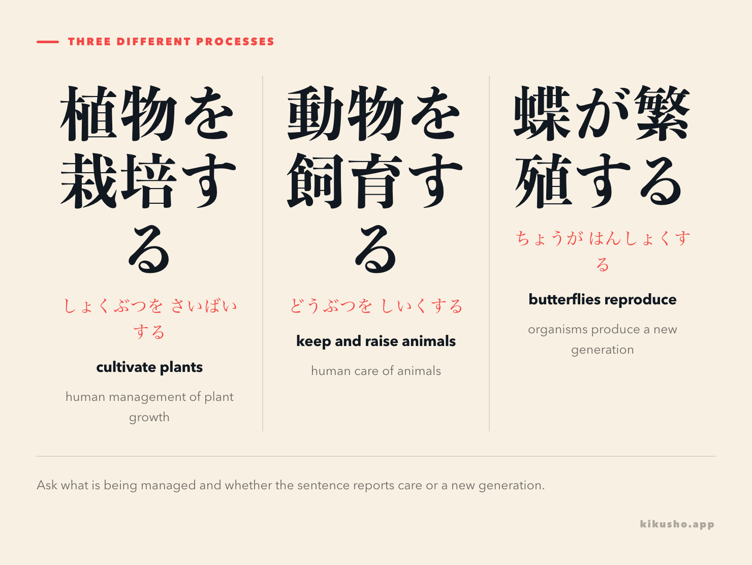 栽培, 飼育 and 繁殖 are contrasted by focus: managed plants, managed animals and organisms producing a new generation.
