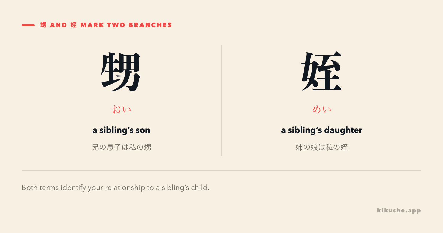 A compact family-tree contrast places 甥 as a sibling's son and 姪 as a sibling's daughter.