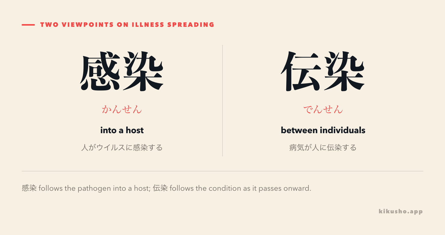 Two arrows contrast infection into a host with transmission between individuals.