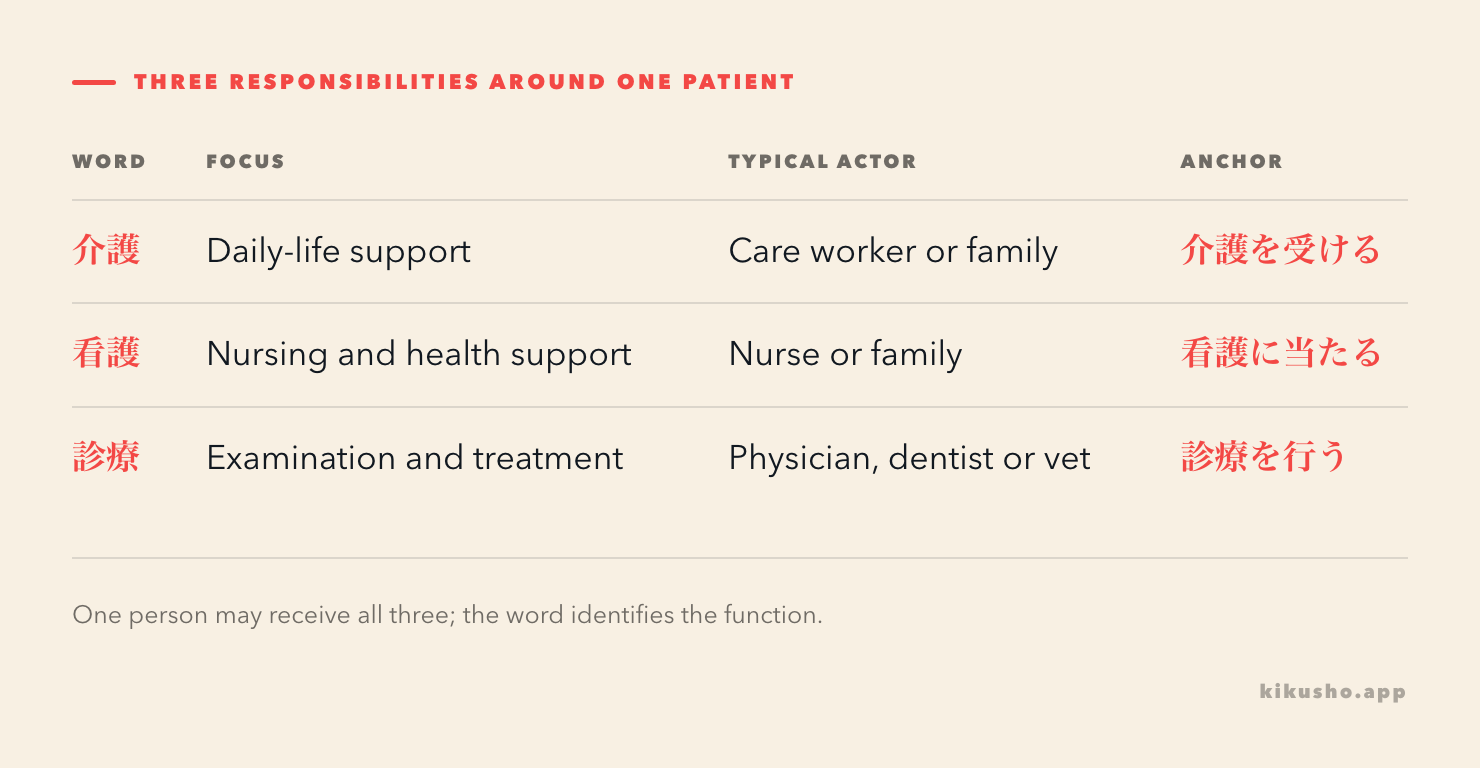 A role grid separates daily-life support, nursing and clinical examination plus treatment.