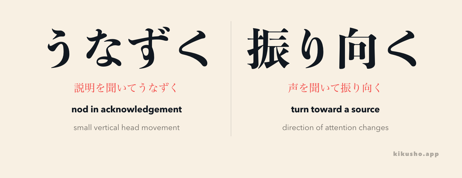 うなずく signals acknowledgement with a nod, while 振り向く changes the direction of attention.