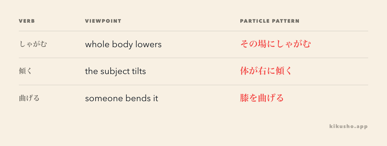 しゃがむ lowers the whole body, 傾く describes a subject tilting, and 曲げる marks the body part someone bends.
