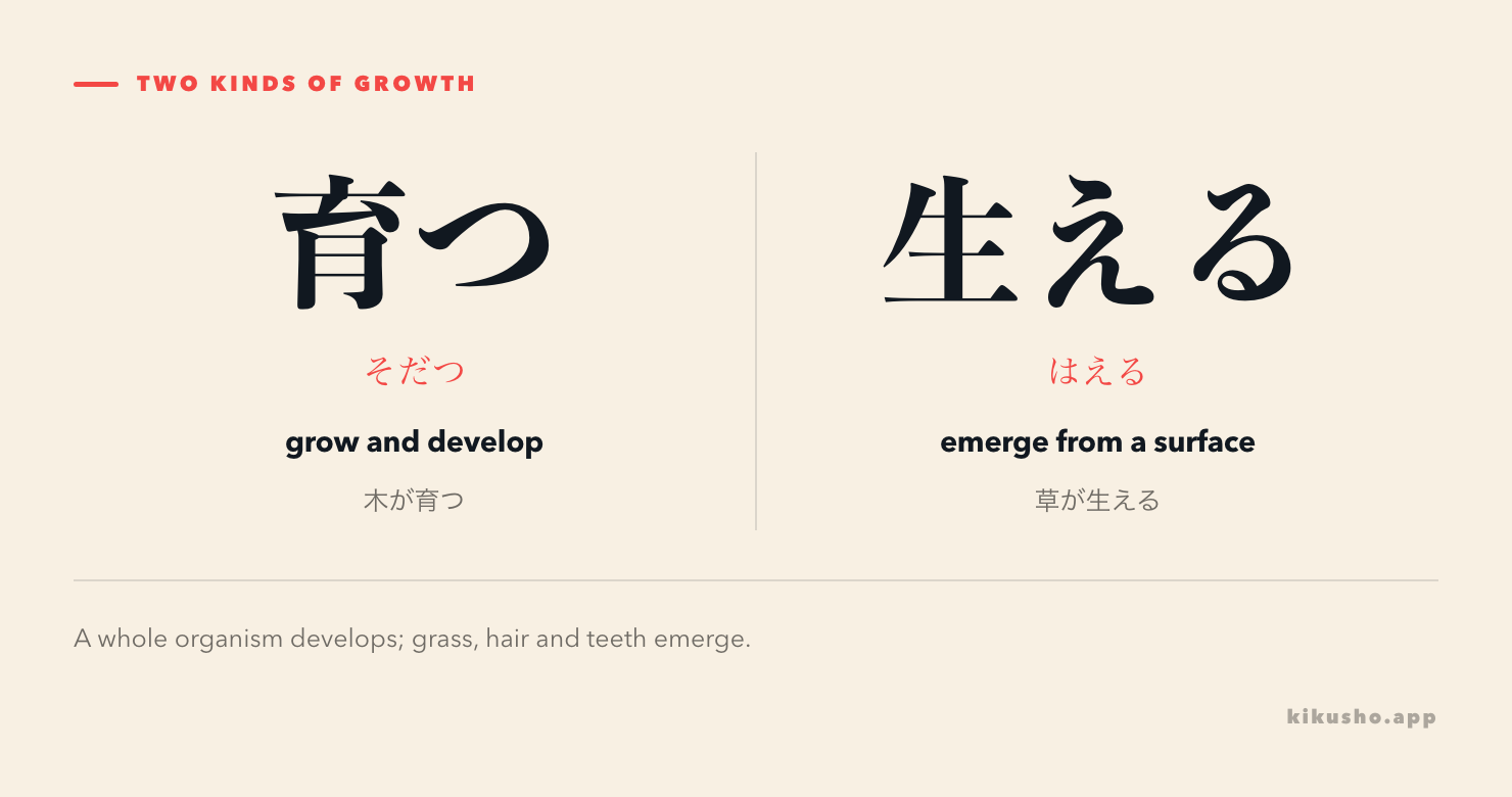 育つ and 生える contrasted through a tree developing and grass emerging from the ground.
