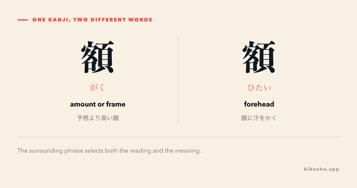 The same kanji 額 splits into がく for an amount or frame and ひたい for the forehead.