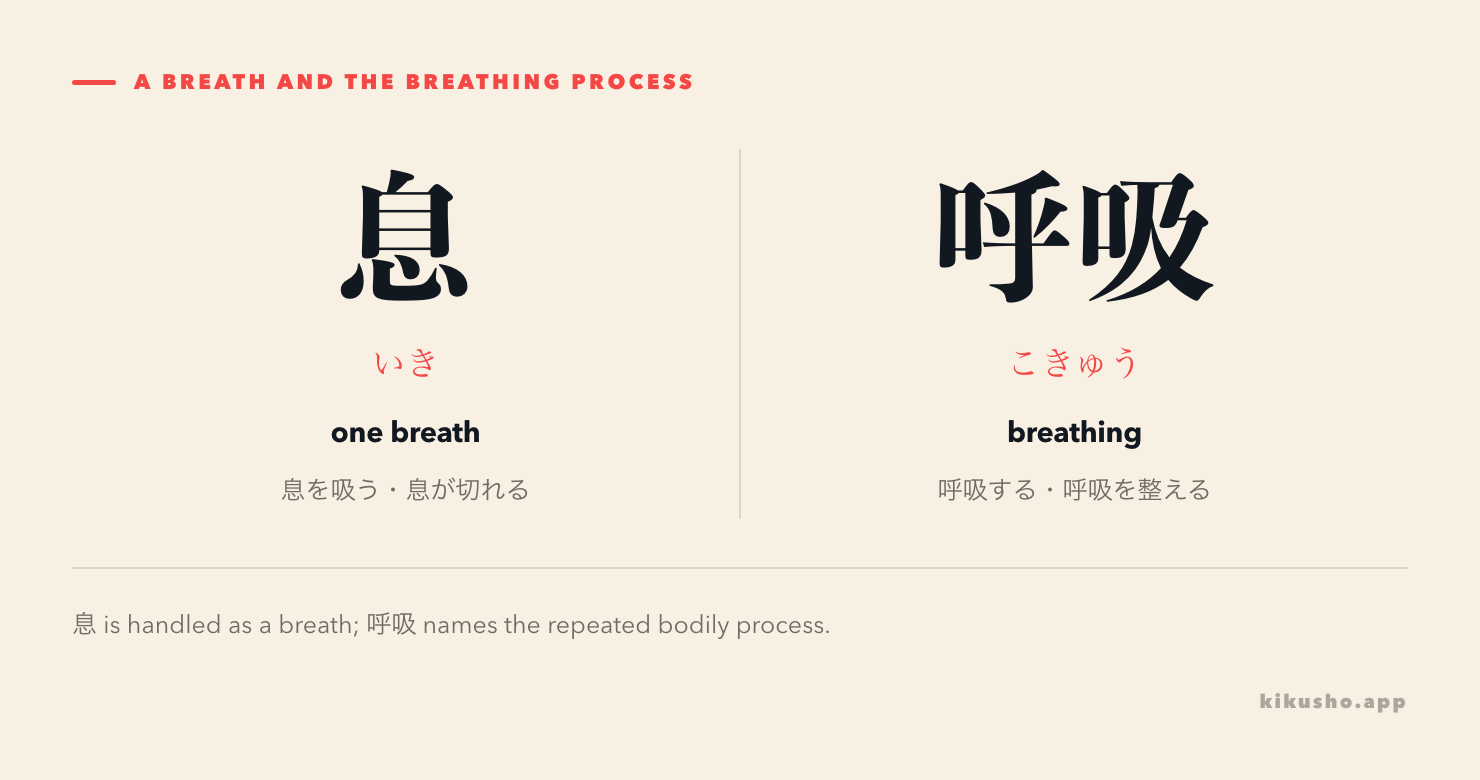 息 names a breath that can be drawn, released or lost; 呼吸 names the continuing process.