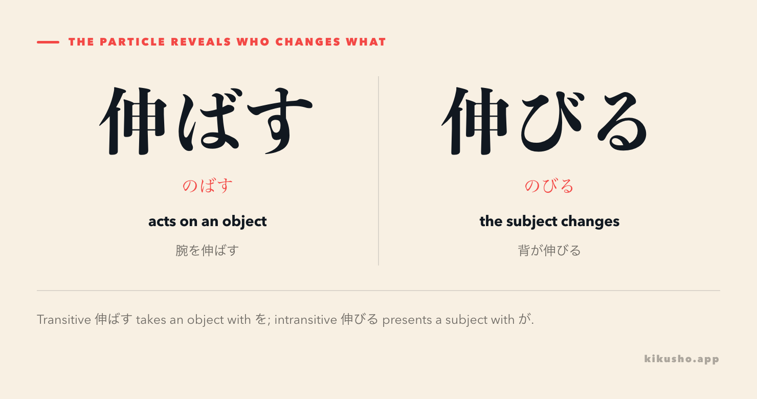 The object marker in 腕を伸ばす contrasts with the subject marker in 背が伸びる.