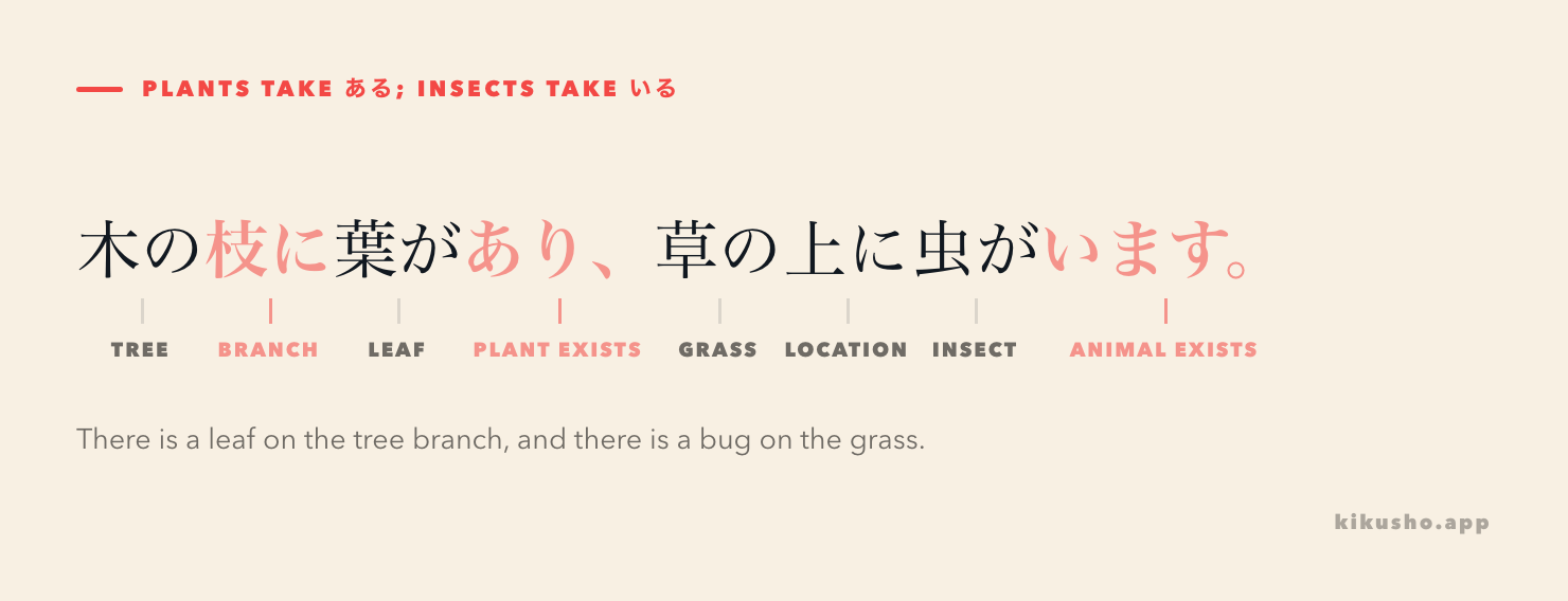 A sentence is divided into labelled parts to show that a branch has a leaf while an insect exists on the grass.