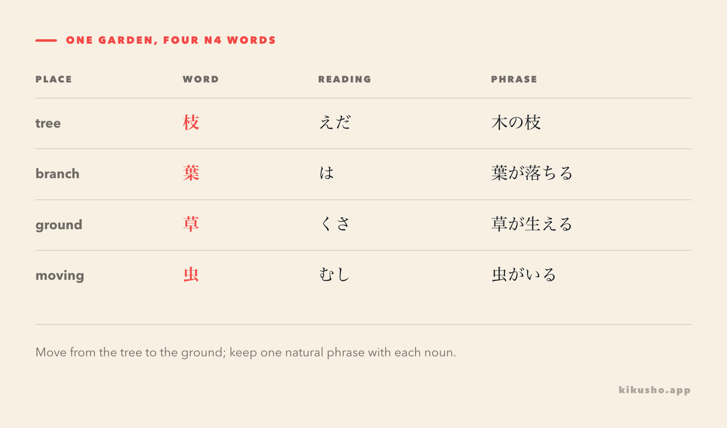 The four words are organised by position in a garden: branch, leaf, grass and insect, each with a reading and a phrase.