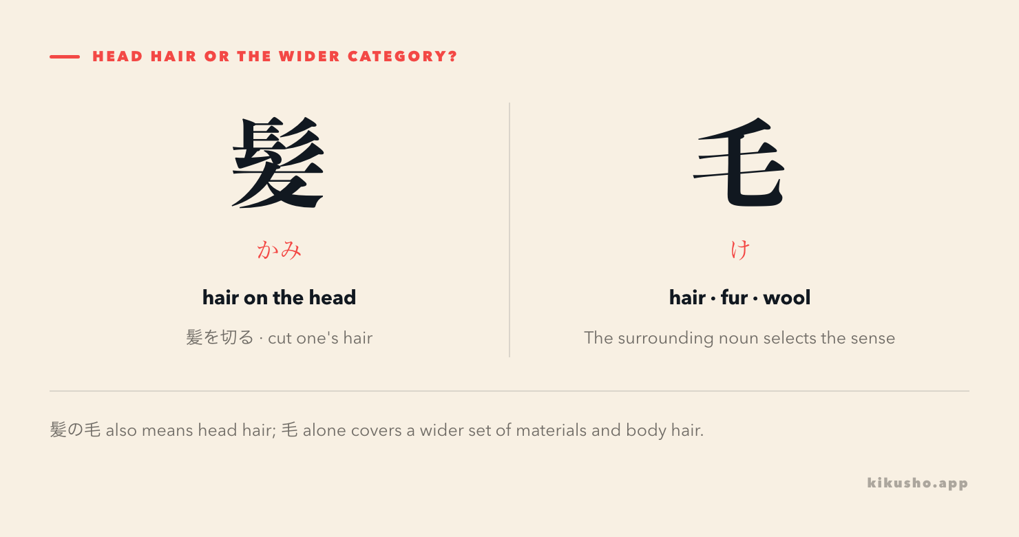髪 and 毛 are contrasted: 髪 is hair on the head, while 毛 expands to body hair, animal fur and wool according to context.