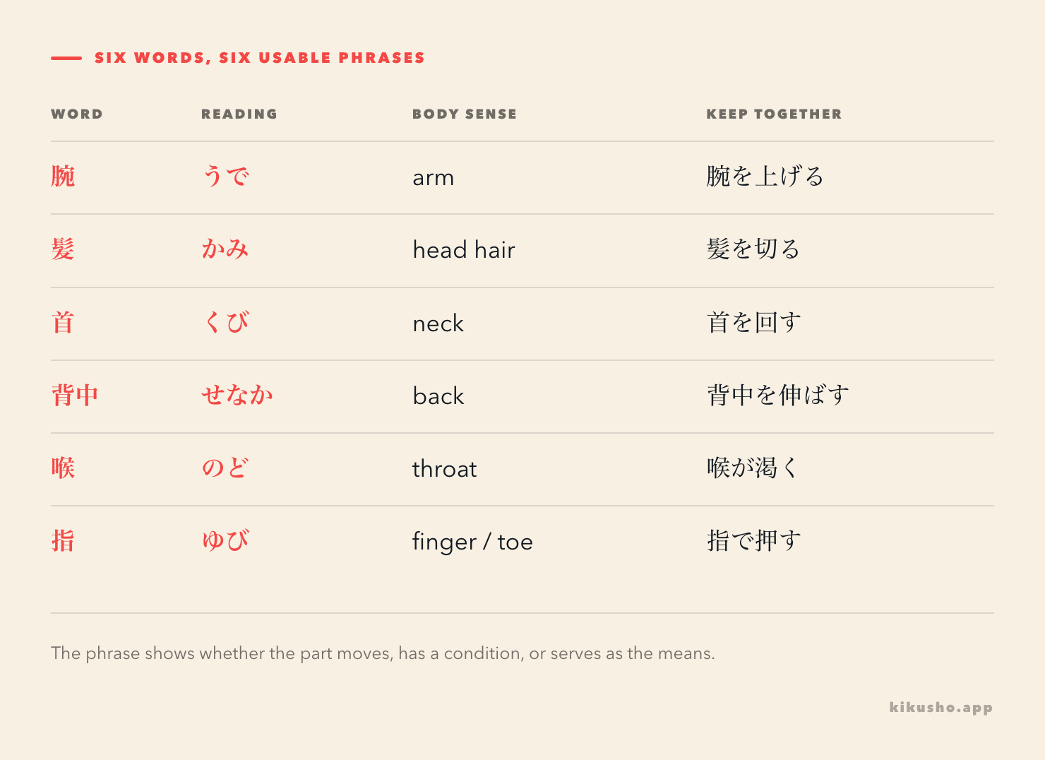 Six N4 body nouns appear with their readings, body meanings and one phrase for movement or condition.