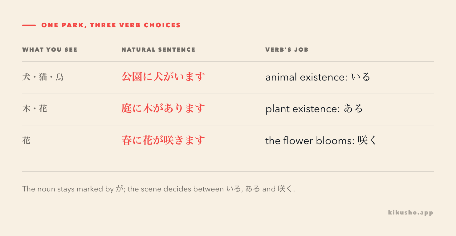Animals pair with いる, plants pair with ある, and a blooming flower is the subject of 咲く.