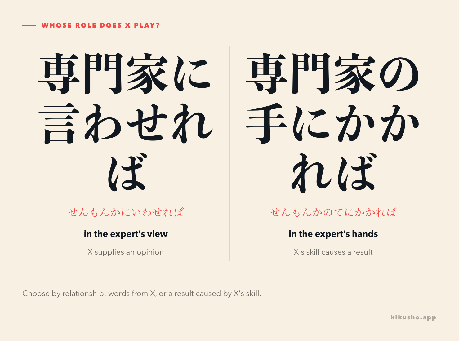 A speech bubble for 専門家に言わせれば contrasts with skilled hands for 専門家の手にかかれば.