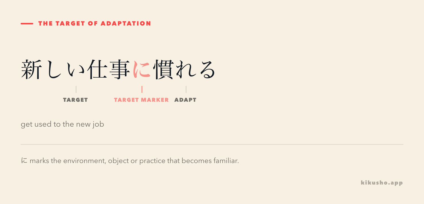 The target noun marked by に leads into the change expressed by 慣れる.