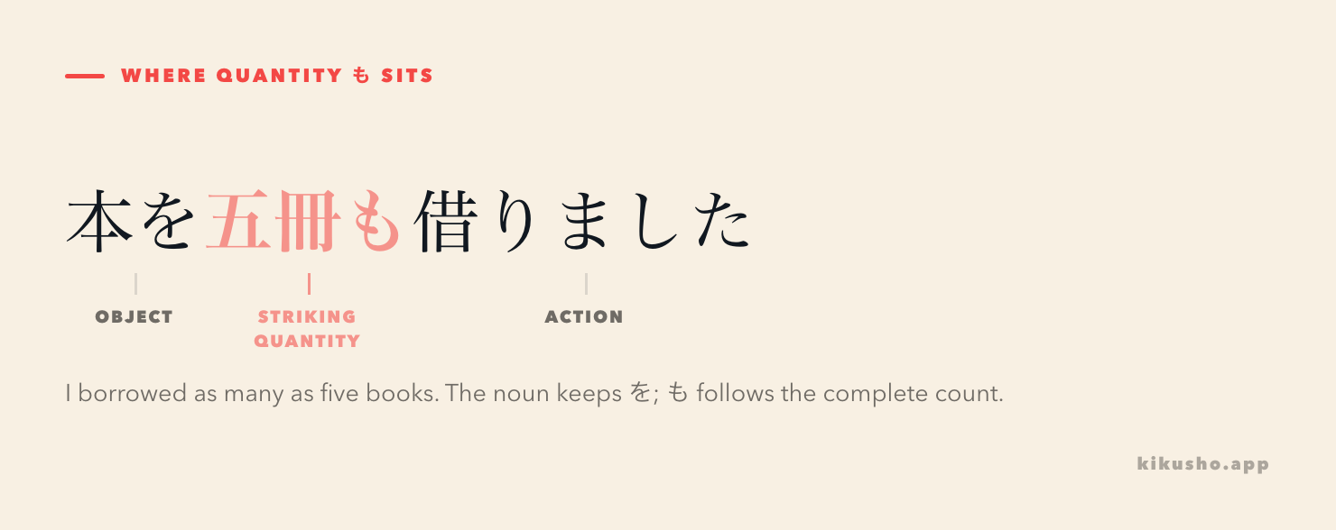 The sentence 本を五冊も借りました is divided into the object 本を, the striking quantity 五冊も and the action 借りました.