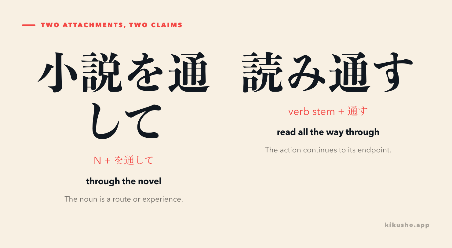 A contrast between noun plus を通して, where a novel is the route to a result, and verb-stem plus 通す, where reading continues to the endpoint.