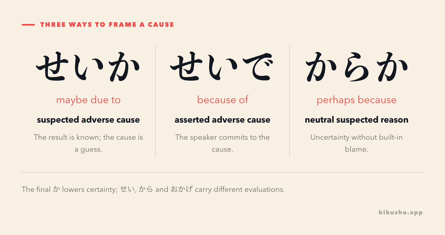 Three panels compare せいか as a suspected adverse cause, せいで as an asserted adverse cause, and からか as a neutral suspected reason.