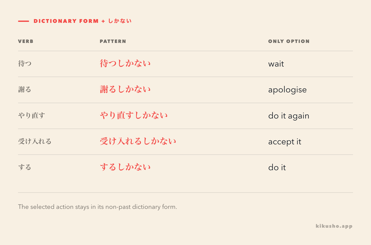 A formation grid builds しかない from five dictionary-form verbs and shows the corresponding only-option meaning.