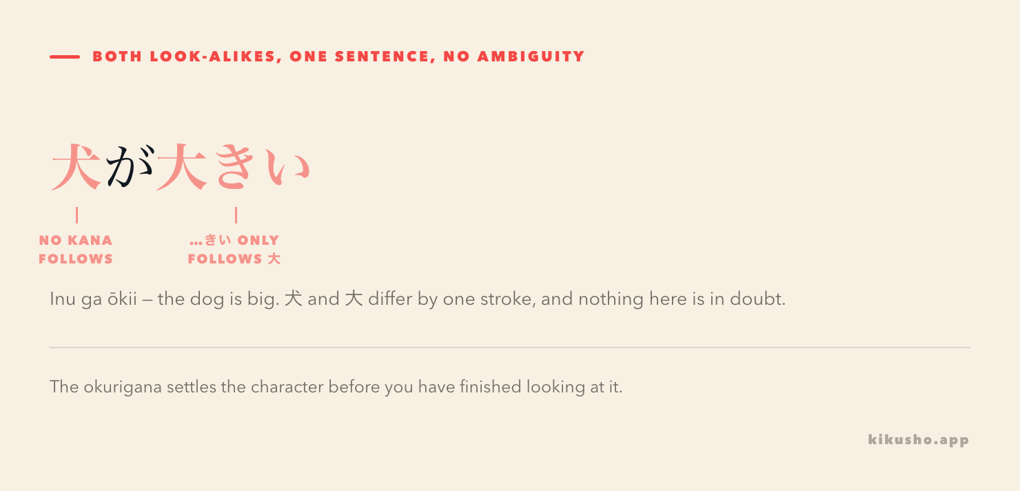 The sentence 犬が大きい broken into three labelled parts: 犬 as a noun with no kana after it, the subject particle が, and 大きい whose okurigana can only follow 大.