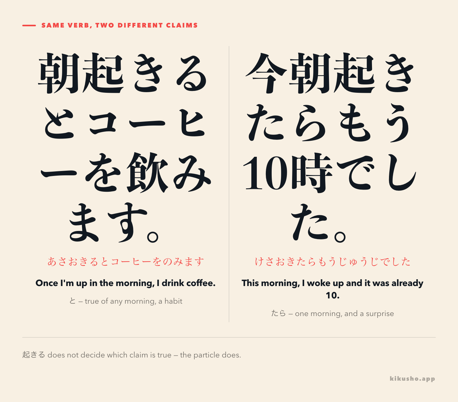 Two sentences that share the verb 起きる: 朝起きるとコーヒーを飲みます, labelled as a claim about every morning, and 今朝起きたらもう10時でした, labelled as a claim about one particular morning.