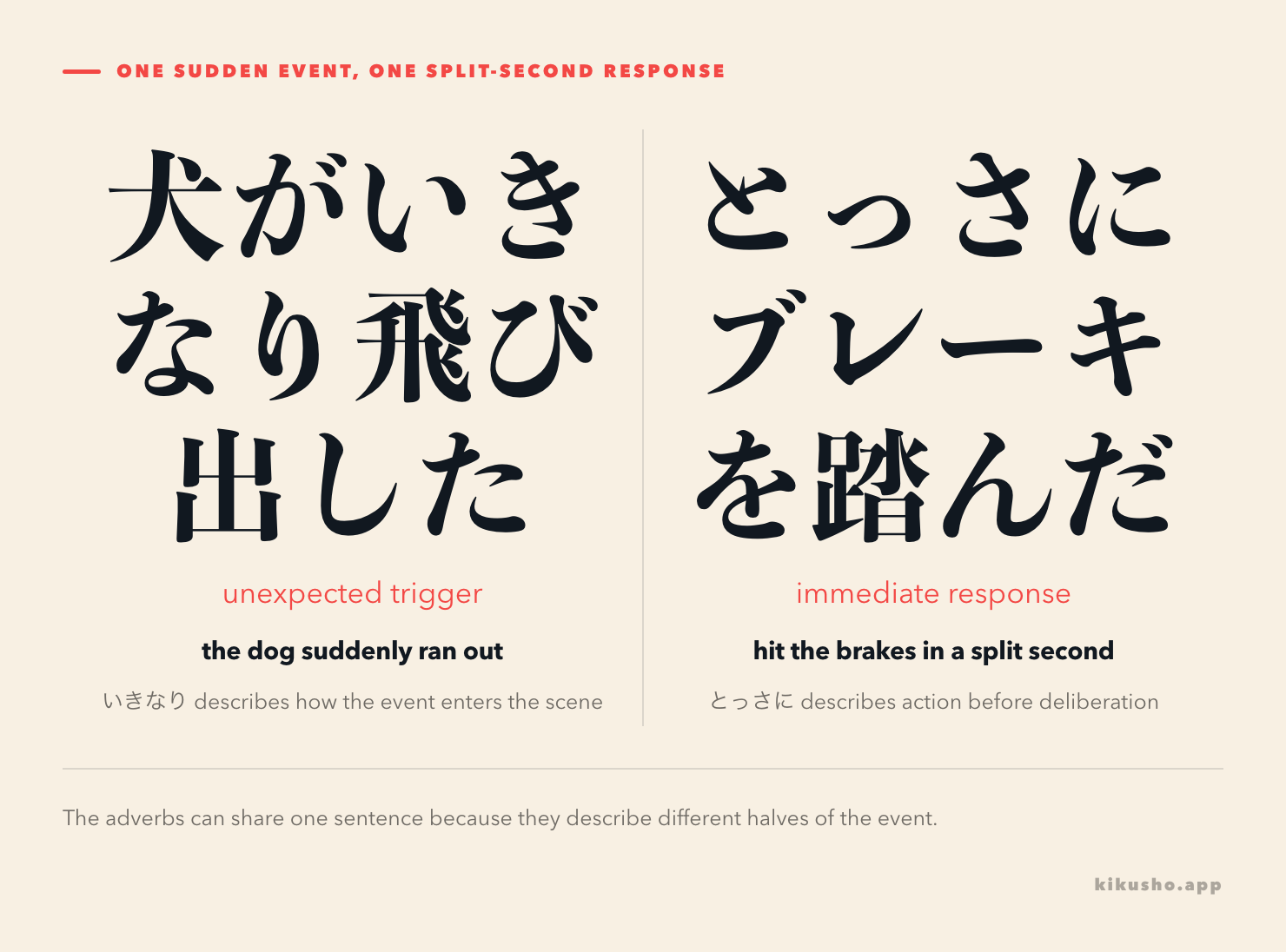Two panels separate 犬がいきなり道路に飛び出した, the sudden trigger, from 運転手がとっさにブレーキを踏んだ, the immediate response.