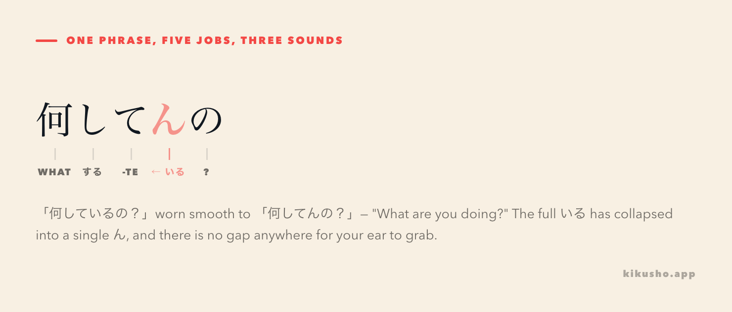 The phrase 何してんの broken into its parts: 何 (what), し (the verb する), て (linking te), ん (worn down from いる), の (makes it a question).