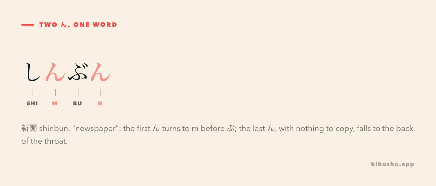 The word しんぶん broken into its four beats し, ん, ぶ, ん, with the first ん labelled as an m sound because the lips are closing for ぶ, and the final ん labelled as a throaty nasal because nothing follows it.